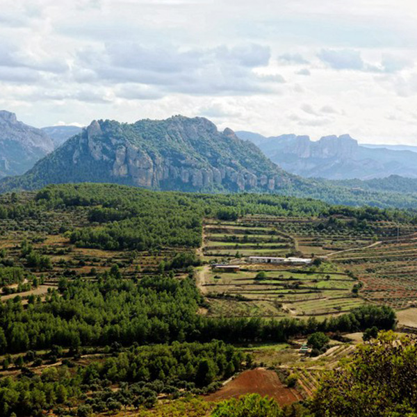 imatge rural catalunya