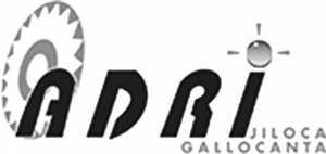 logo adri jiloca gallocanta